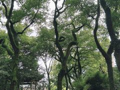 -天一阁博物院