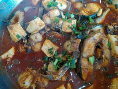 -一撮毛美食城(全力一路店)