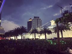 -Paulaner·德国帕拉娜自酿啤酒餐厅(海上世界店)