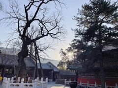 -潭柘寺景区