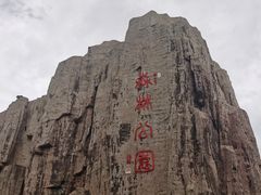 -森林公园(尖草坪区)