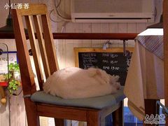 -Babycat私家御饼屋(龙头路一店)