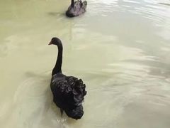 -宁波野生动物园
