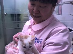 -宠颐生中康贝怡动物医院