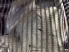-美联众合动物医院·24h转诊中心