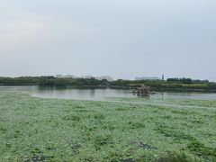 -大兴滨河森林公园