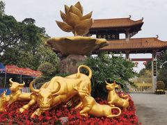 -广州莲花山旅游区
