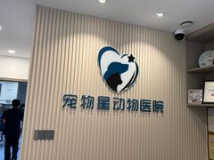 -宠物星动物医院·眼科·异宠·猫科(江南大道总院)