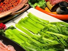 -老版火锅.12年西安排队王(沣峪口店)