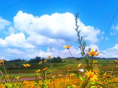 -青峰峡国家森林公园