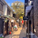 在天津的文艺小巷，民园西里赶巷子