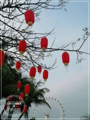 -白沙门公园游乐场