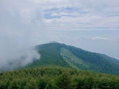 -红崖峡谷景区