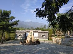 -阳台山自然风景区