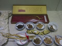 -广东中医药博物馆