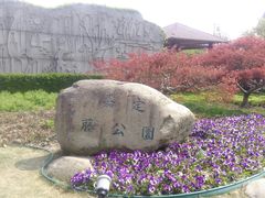 -嘉定紫藤园