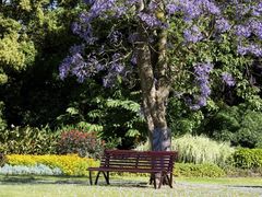 -墨尔本皇家植物园