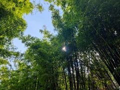 -蝴蝶泉公园