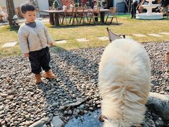 -HERRE·FARM 赫尔露营农场·团建聚会包场