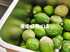 -introlemons(西单更新场·北京首店)