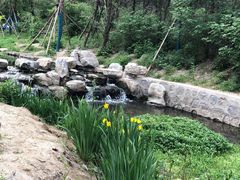 -白水寺森林公园