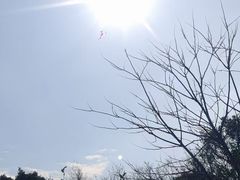 -青龙山公园