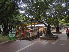 -东风公园