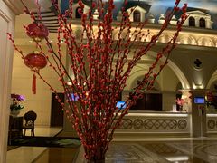 -深圳威尼斯英迪格酒店-邻芙花廊下午茶·NINFA GALLERY·蛋糕·咖啡
