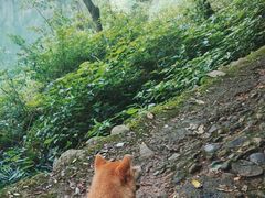 -磐安十八涡风景区