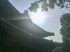 -宝莲禅寺