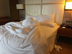 -成都天府丽都喜来登饭店