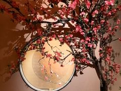 -觅唐MITONG(鸟巢店)