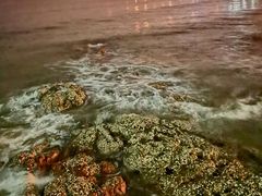 -老味道民宿(栈桥店)