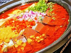 -酒肆浅葱•烧烤•龙虾•排档(卓悦intown店)