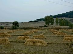 -吊水壶国家森林公园