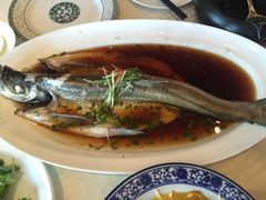 -扬州狮子楼·非遗淮扬菜(总店)