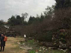 -秀丽东方