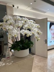 -深圳阳光医疗美容医院·旗舰店