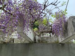 -沙市市中山公园