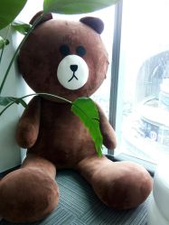 -贞禾医美·连锁