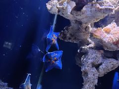 -南昌海洋公园
