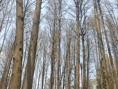 -波尔登森林公园