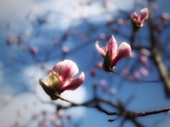 -白塘生态植物园