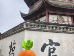 -观潮胜地公园
