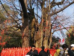 -西湖风景区十里琅珰-五云山