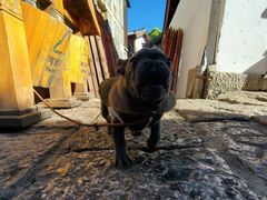 -必胜客(玉泉远洋店)