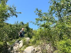 -阳台山自然风景区