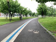-国际非物质文化遗产博览园