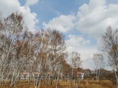 -御道口草原森林风景区