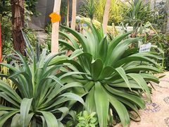 景点-西安世博园